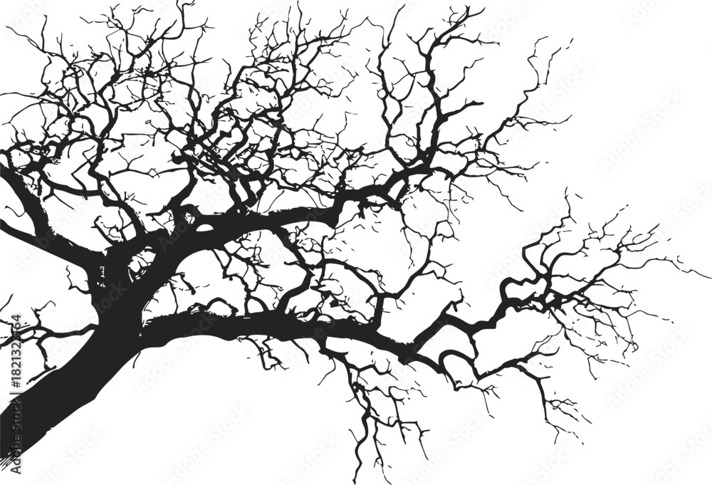 Fototapeta premium Bare tree branch sketch, hand drawn silhouette with intricate leafless twigs. Vector illustration