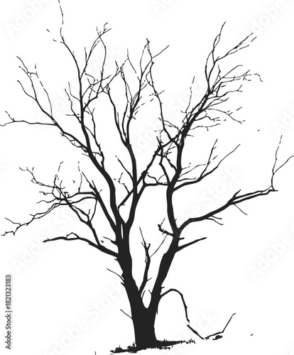 Bare tree sketch hand drawn silhouette with intricate leafless branches. Vector illustration