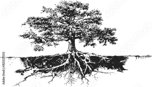 Tree with exposed roots, sketch hand drawn style, detailed underground root system. Vector illustration