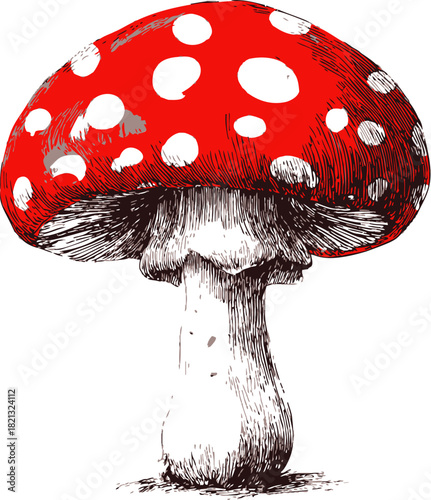 Fly agaric mushroom sketch, hand drawn style with red cap and white spots. Vector illustration