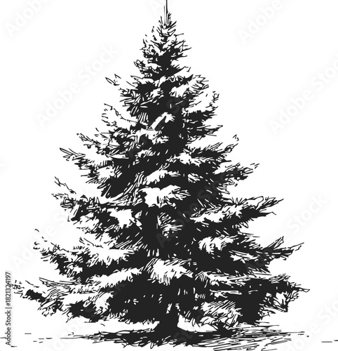 Wallpaper Mural Christmas tree sketch, hand drawn pine with snow covered branches. Vector illustration Torontodigital.ca