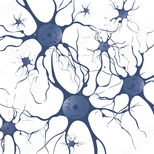 Vector Illustration of Neuron Cells Isolated on White Background — Detailed Neural Network Diagram with Axons, Dendrites, and Synapses for Medical, Scientific, Biological, and Educational Use.