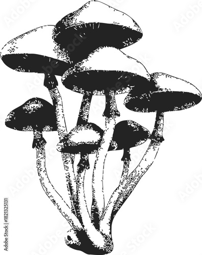 Mushrooms sketch hand drawn cluster with textured caps and slender stems. Vector illustration