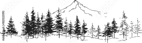Pine trees sketch hand drawn forest with mountain landscape background. Vector illustration
