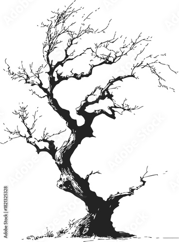 Bare tree sketch hand drawn with twisted branches on white background. Vector illustration