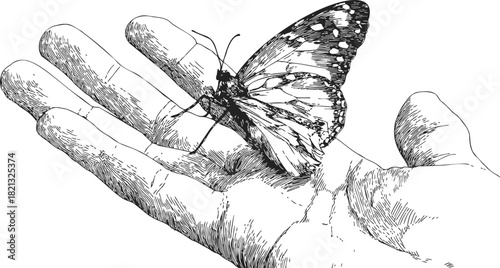 Hand holding butterfly sketch, hand drawn style, detailed insect resting on palm. Vector illustration