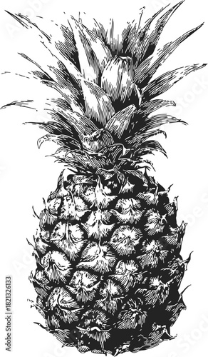 Wallpaper Mural Pineapple sketch hand drawn detailed tropical fruit with textured leaves and rough skin. Vector illustration Torontodigital.ca