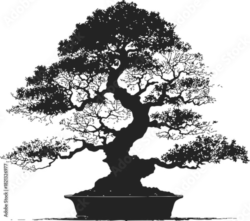 Bonsai tree sketch, hand drawn vector, detailed silhouette with intricate branches in shallow pot. Vector illustration
