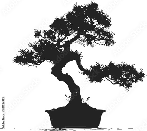Bonsai tree sketch, hand drawn vector with detailed foliage and curved trunk in pot. Vector illustration
