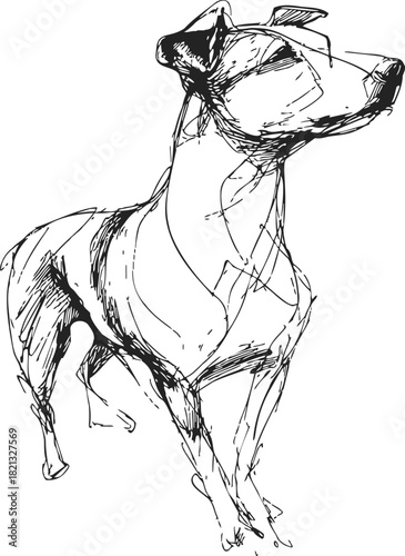 Dog sketch hand drawn, standing alert with head raised. Vector illustration