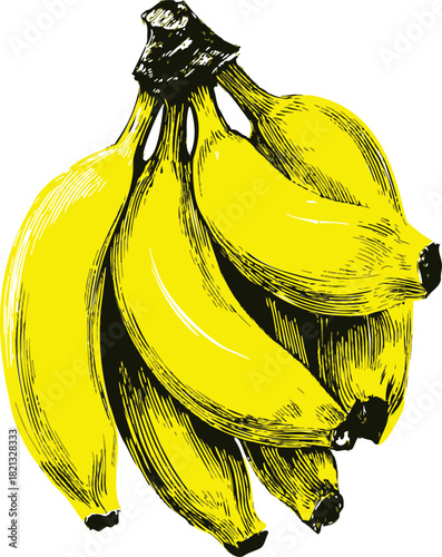 Banana bunch sketch hand drawn style with detailed yellow and black shading. Vector illustration