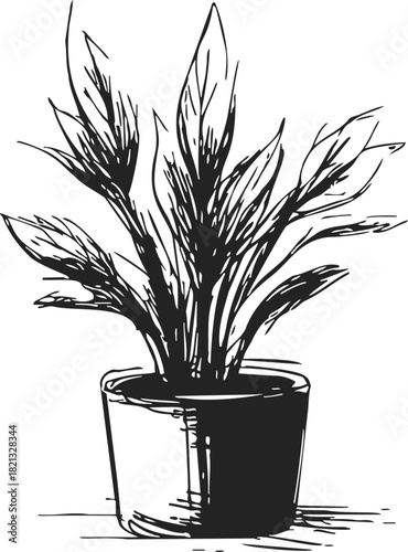 Potted plant sketch hand drawn style with broad leaves in ceramic pot. Vector illustration