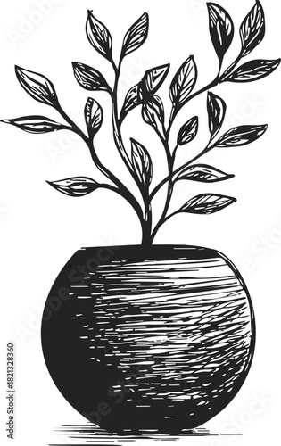 Potted plant sketch hand drawn in round vase with textured leaves and branches. Vector illustration