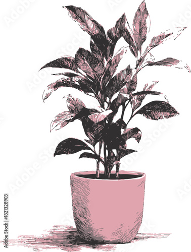 Potted plant sketch hand drawn style with detailed leaves in ceramic pot. Vector illustration