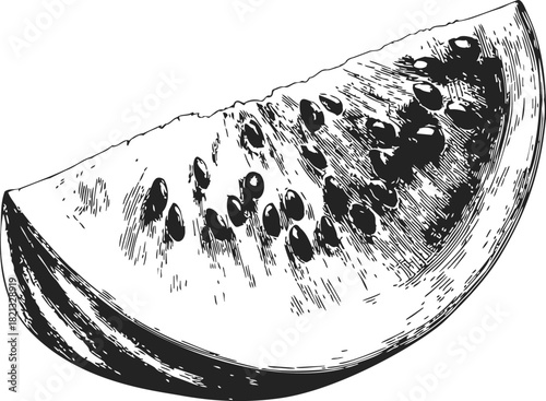 Watermelon slice sketch, hand drawn style with seeds and rind detail. Vector illustration