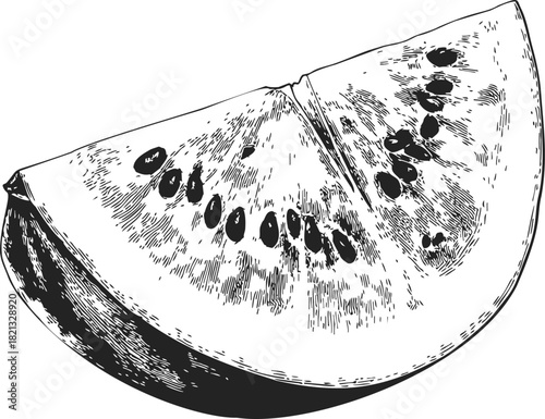 Watermelon slice sketch, hand drawn style with seeds and rind details. Vector illustration