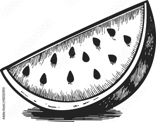 Watermelon slice sketch, hand drawn vector with seeds and textured rind. Vector illustration