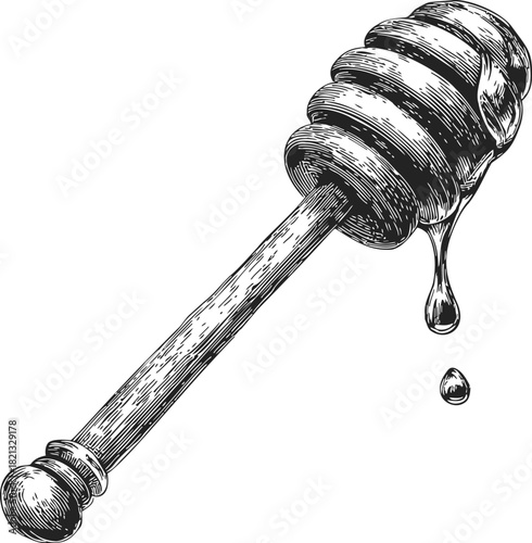Honey dipper sketch hand drawn with dripping honey detail. Vector illustration