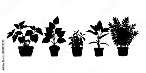 Set, collection of houseplant silhouettes, leaf, plant, pot. Floral decoration. Home, house flower. Interior design, indoor blossom. Isolated on white background. Vector illustration. .VECTOR ICON