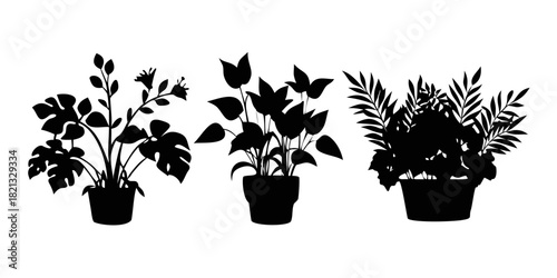Set, collection of houseplant silhouettes, leaf, plant, pot. Floral decoration. Home, house flower. Interior design, indoor blossom. Isolated on white background. Vector illustration. .VECTOR ICON