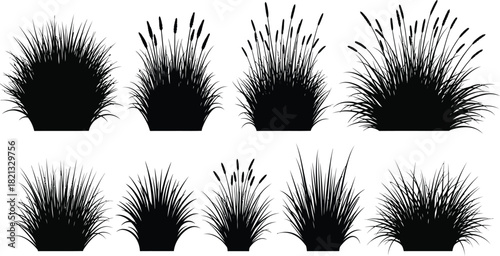 Set of ornamental grass silhouettes for landscaping and garden design