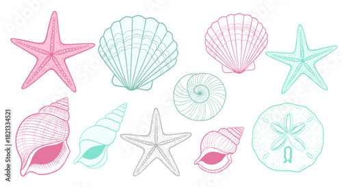 Hand-drawn collection of various seashells, starfish, and a sand dollar in pastel pink, teal, and grey colors on a white background.