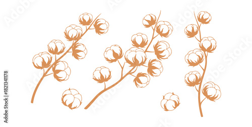Collection of cotton flower artwork for nature-themed design elements

