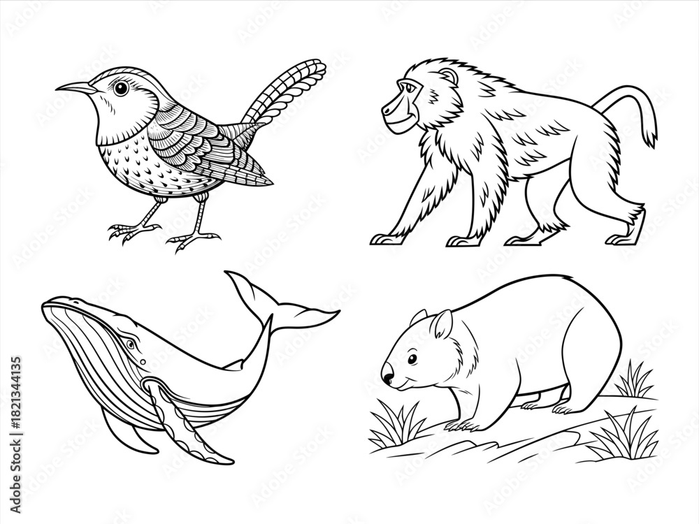 Obraz premium coloring page line art the animal black vector bundle