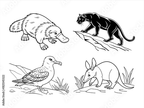 coloring page line art the animal black vector bundle