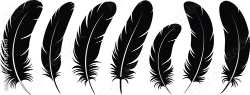 Elegant Black Feather Collection A Set of Vector Illustrations for Design Projects