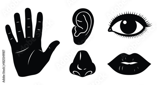 Illustration of human senses hand ear eye nose and lips depicted