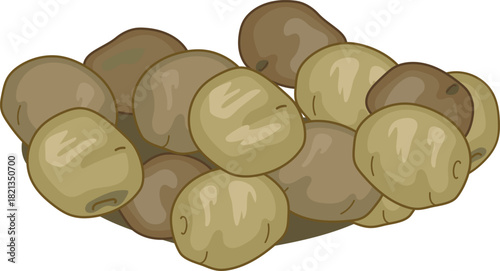 Potato tubers isolated on white background