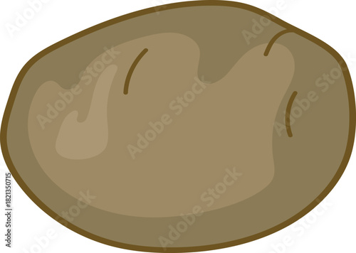  Potato tuber isolated on white background