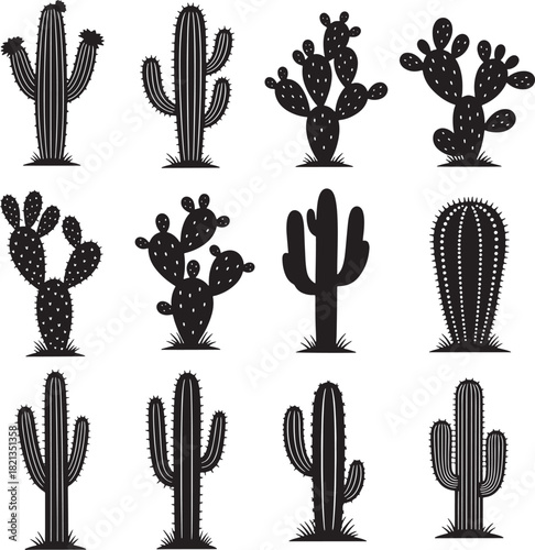 Cactus Silhouette Vector Art: Desert Plants Illustration, Black & White Cactus Graphics, Botanical Desert Flora Clipart, Nature Design Elements