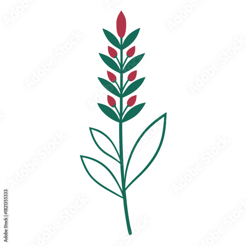 erica carnea flower line art on white background