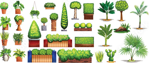 set of trees and plants