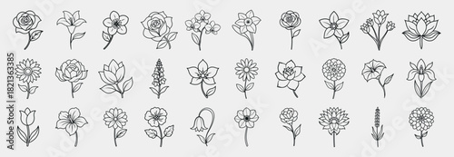 Popular Flowers Line Icons Set.  Rose, Tulip, Sunflower, Daisy, Lily, Lotus, Peony, Cherry Blossom, Hibiscus, Orchid, Daffodil, Marigold, Lavender, Jasmine, etc.