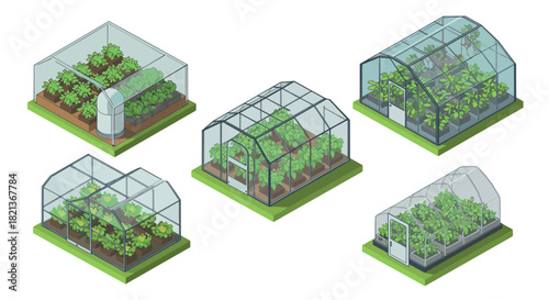 Isometric greenhouses with lush plants and glass structures for modern gardening