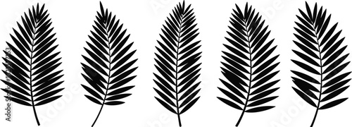 Row of detailed palm leaf silhouettes showcasing tropical foliage design, natural patterns, botanical symmetry, and elegant decorative greenery elements