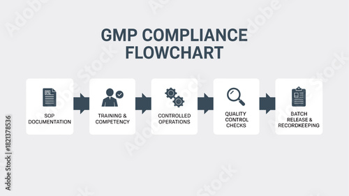 GMP Compliance Workflow Infographic – Good Manufacturing Practice Process Diagram