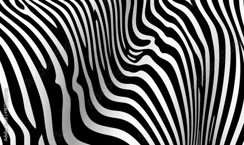 Abstract black and white wavy stripes create an illusion of depth, similar to zebra patterns