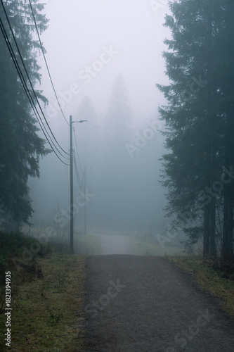A walk down a gravel road in the forest on a foggy day in autumn.