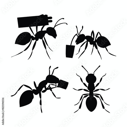Four black ant silhouettes carrying objects on white background, symbolizing work isolated on white background, Vector, illustration