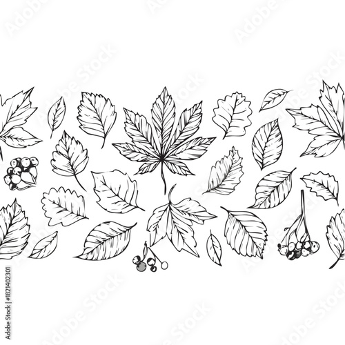 Hand-drawn autumn leaves and berries in a detailed sketch style.