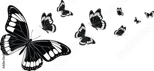 Black and white vector silhouette of monarch butterflies flying, elegant insect graphic design element, nature spring summer wings decorative artwork, isolated on white background