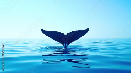 Fototapeta Naklejka Na Ścianę i Meble -  dolphin jumping in water