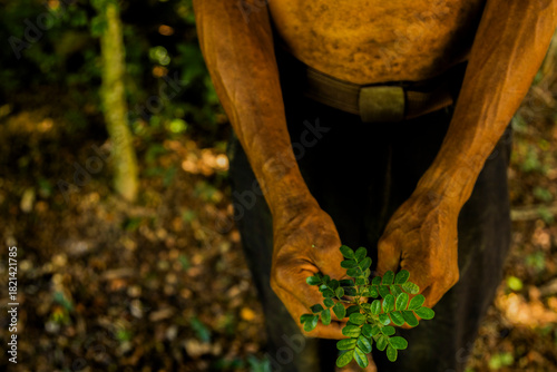 Close-up of hands gently holding a small green plant in an outdoor natural setting. The image symbolizes growth, sustainability, and environmental care. Pau Brasil.
