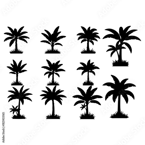 banana trees silhouette pack