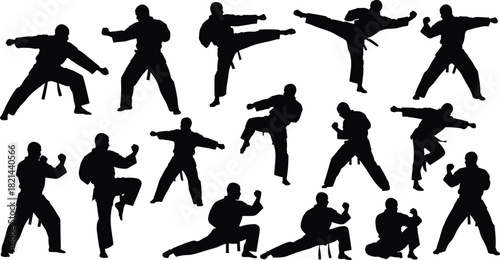 Vector set of martial arts fighters silhouettes in various karate poses kicking and punching isolated on white background.