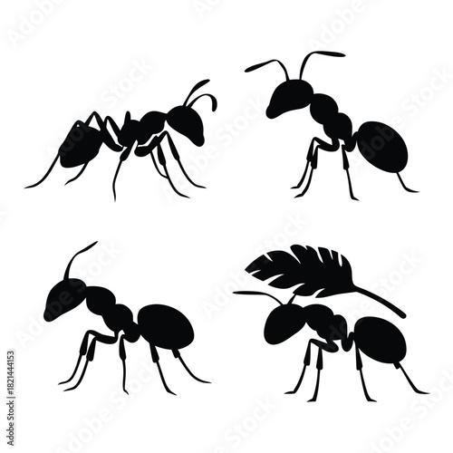 Four silhouette ants in different poses on a white background vector illustration isolated on white background, Vector, illustration